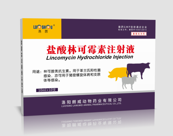 鹽酸林可霉素注射液