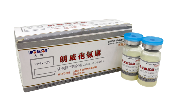 朗威孢氨康（頭孢氨芐注射液）